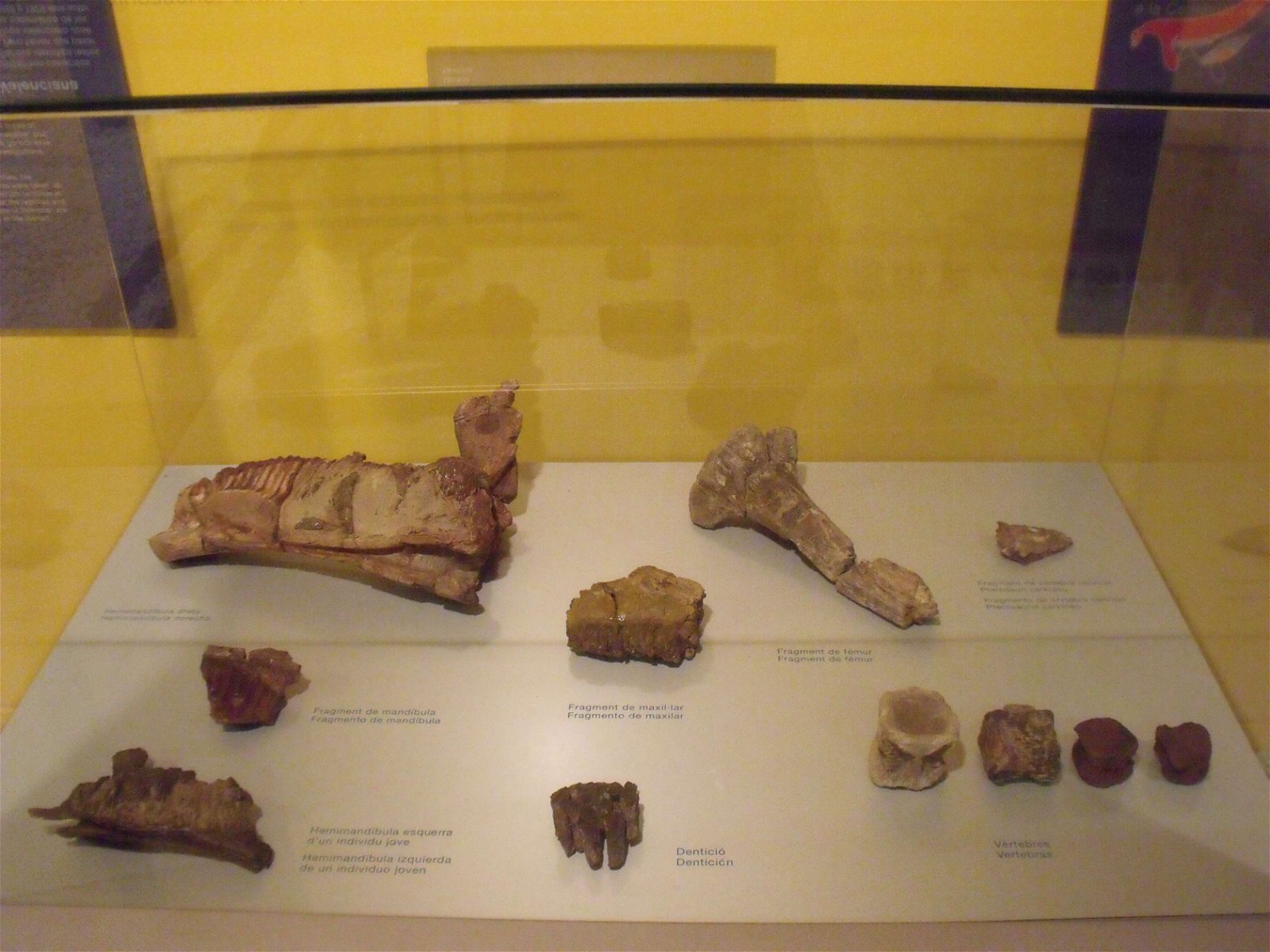 Museo de Ciencias Naturales