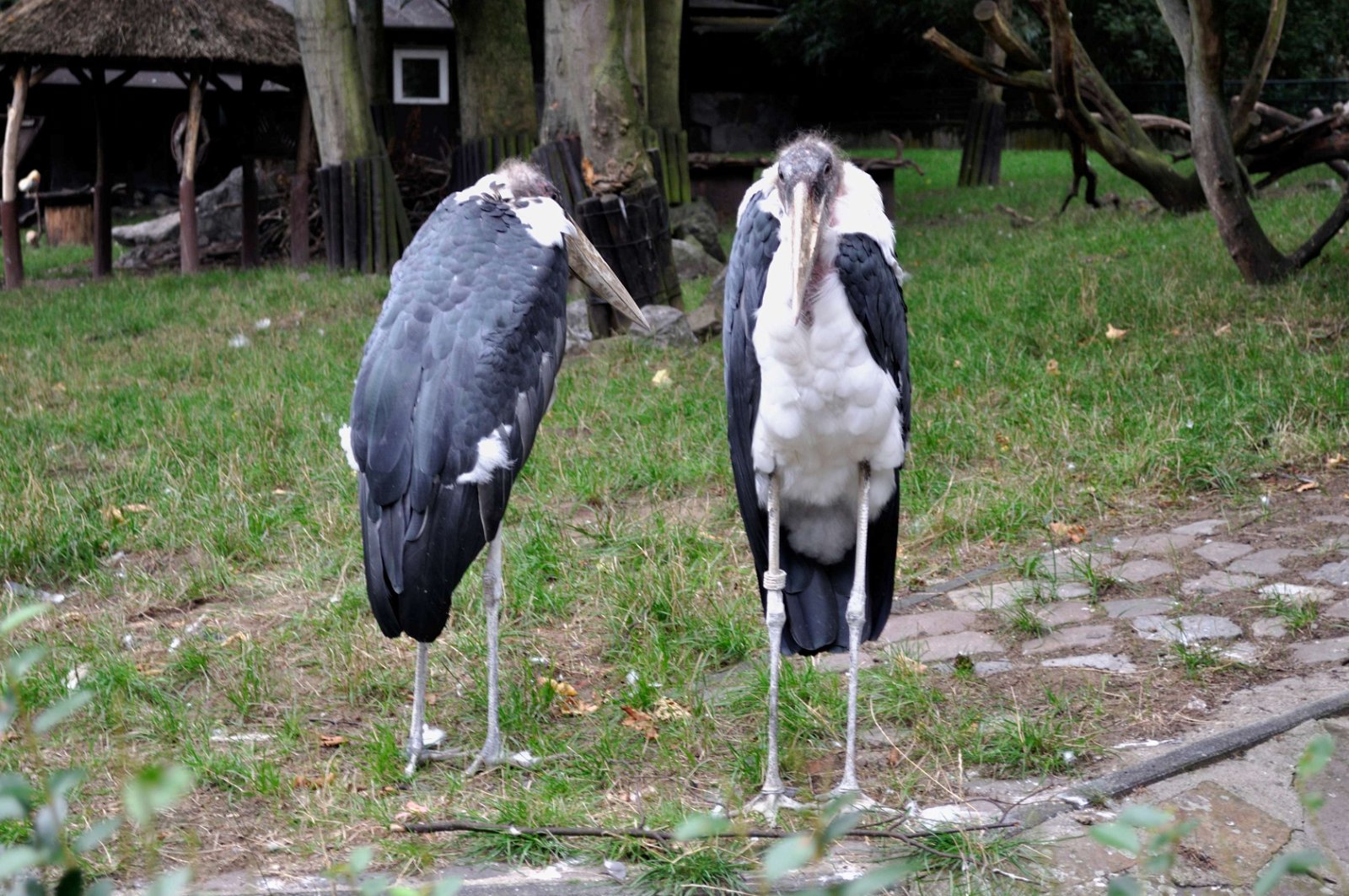 Zoo Duisburg