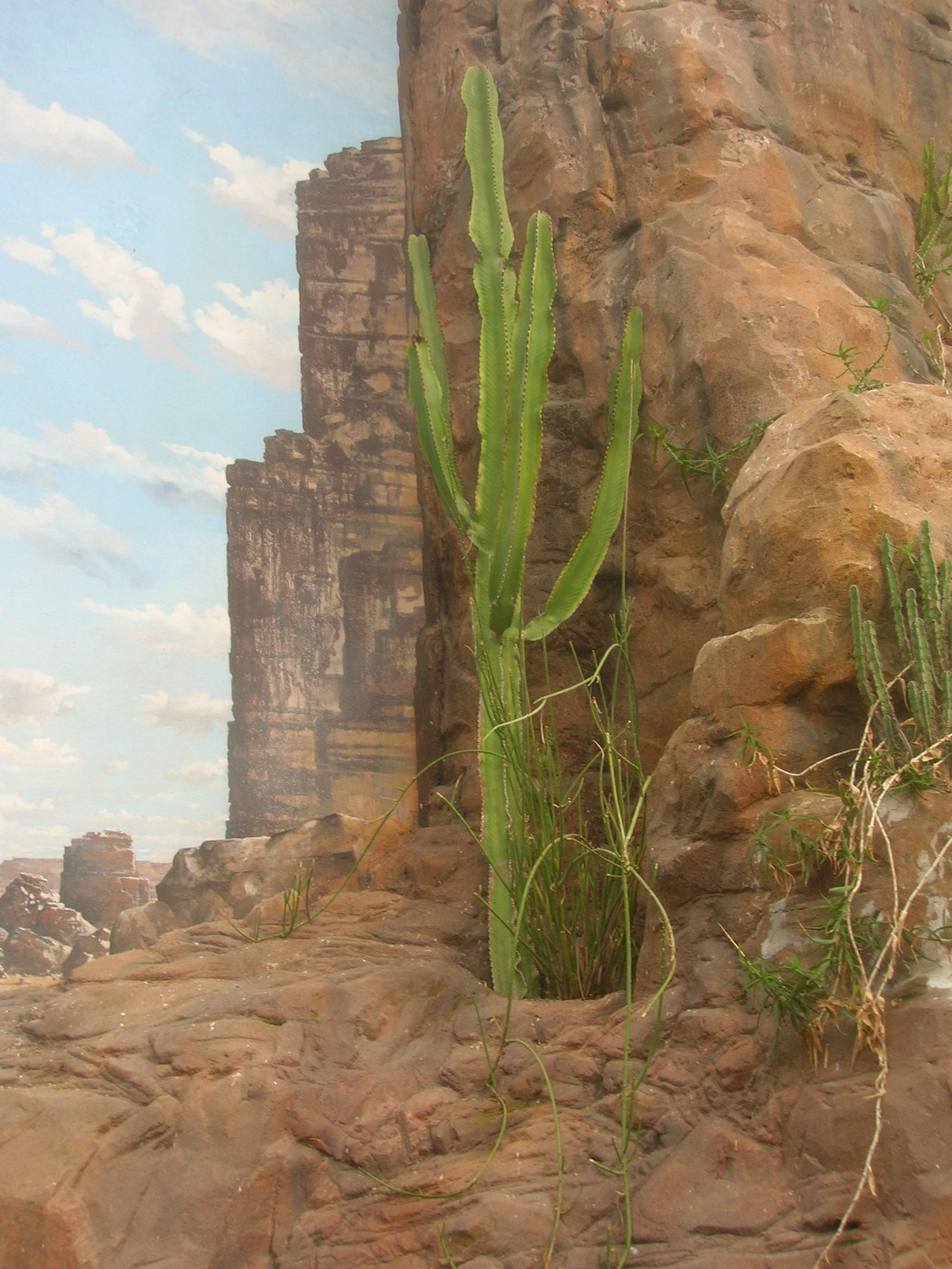 Schönbrunn Desert House