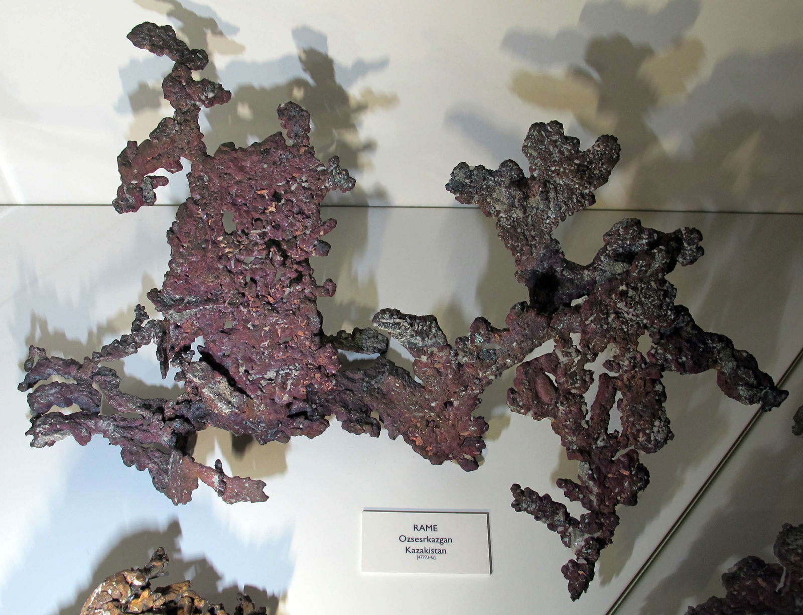 Museo di Storia Naturale di Firenze - Geologia e Paleontologia