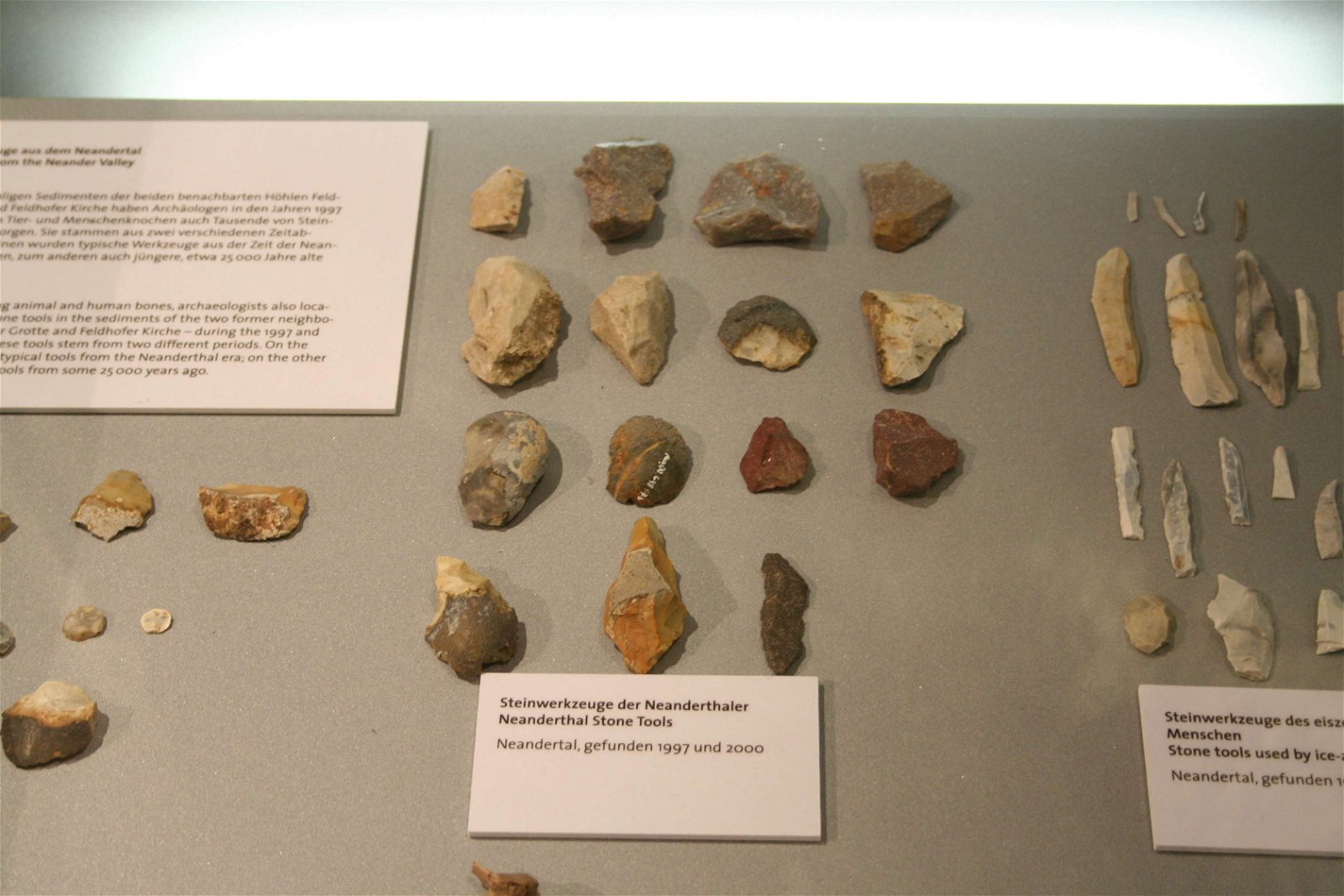 Neanderthal Museum