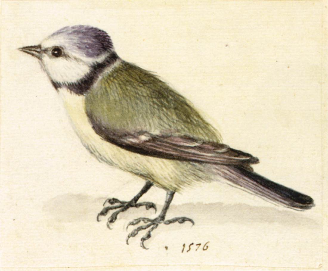 Austrian National Library