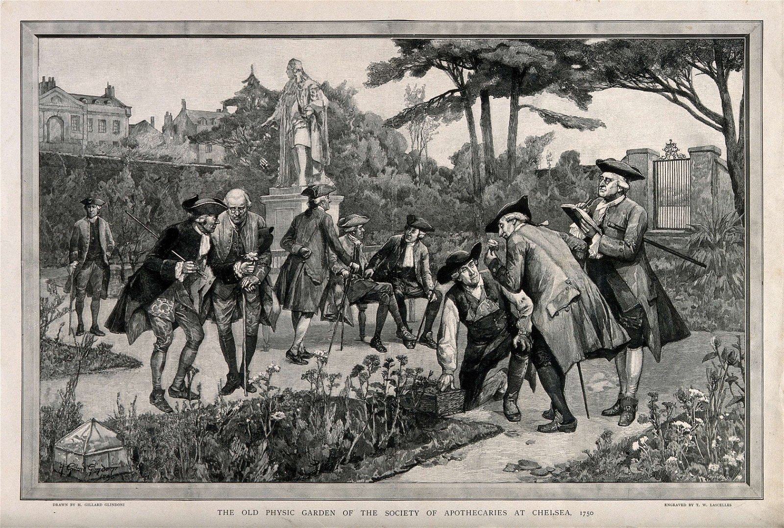 Chelsea Physic Garden