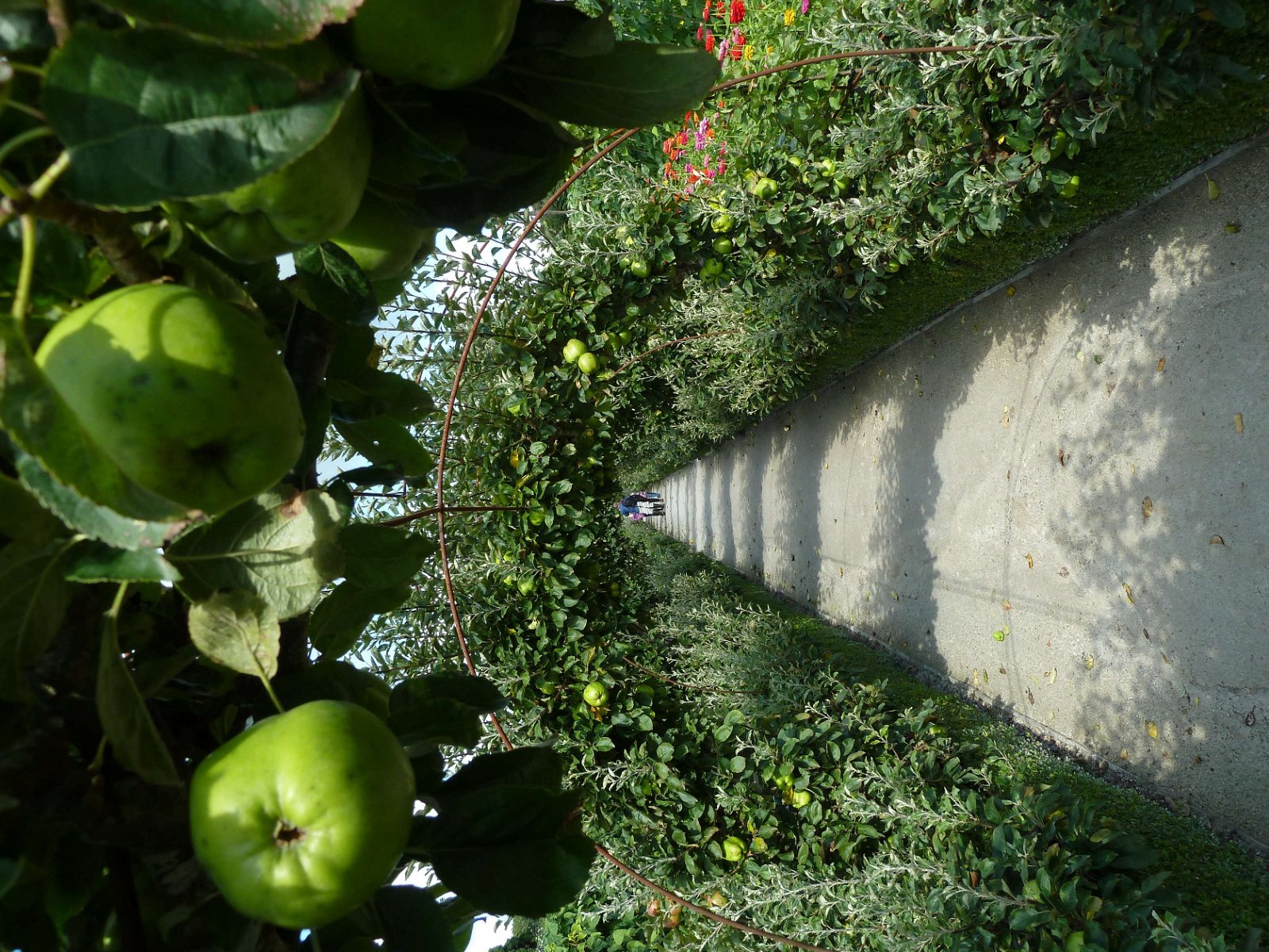 The Lost Gardens of Heligan