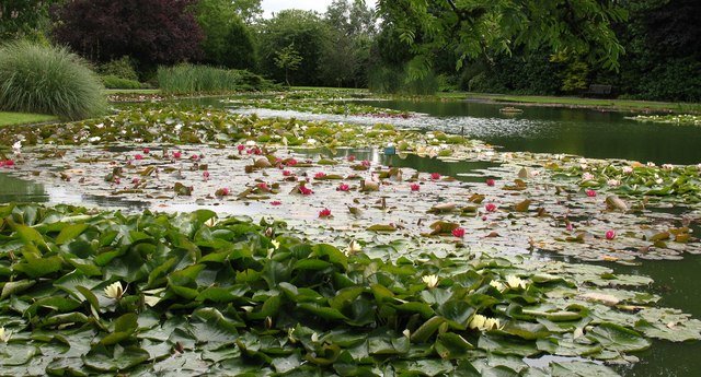 Stewart's Burnby Hall Gardens and Museum