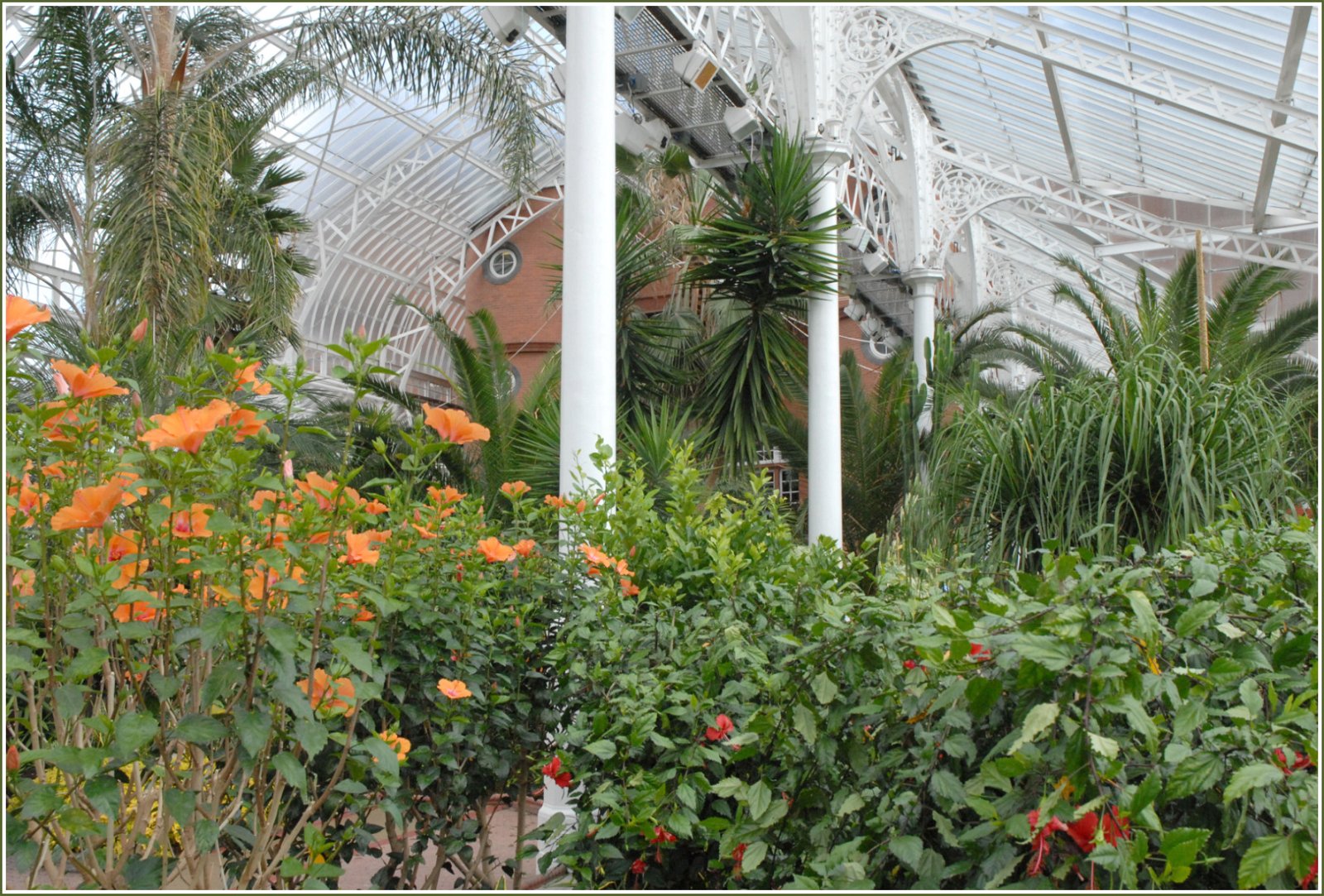 People's Palace and Winter Gardens