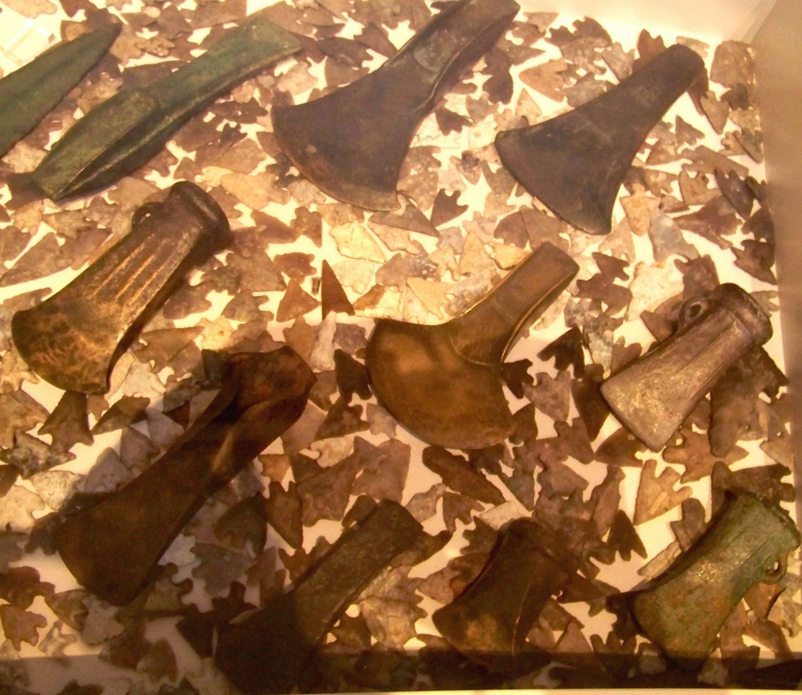 Yorkshire Museum and Gardens