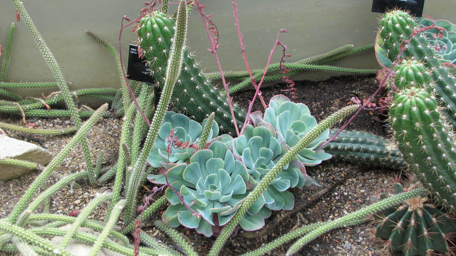 Royal Botanic Gardens, Kew