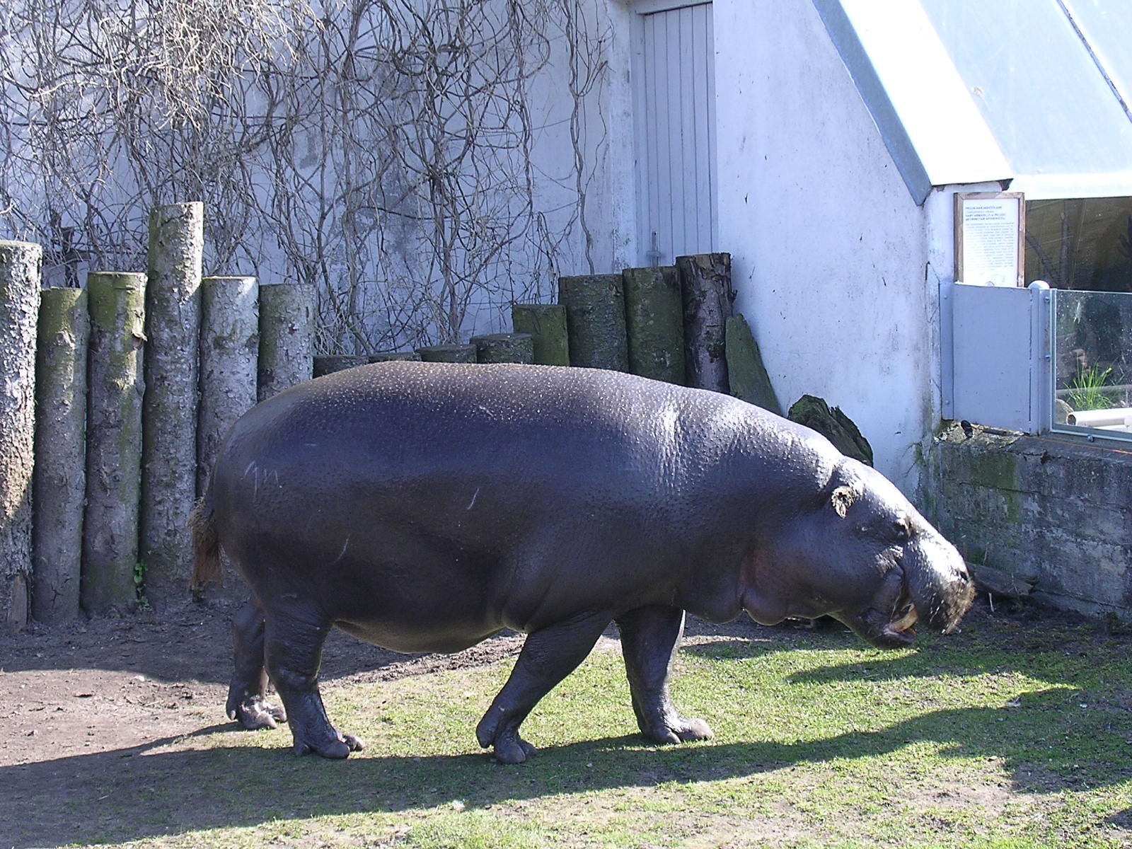 Tallinn Zoo