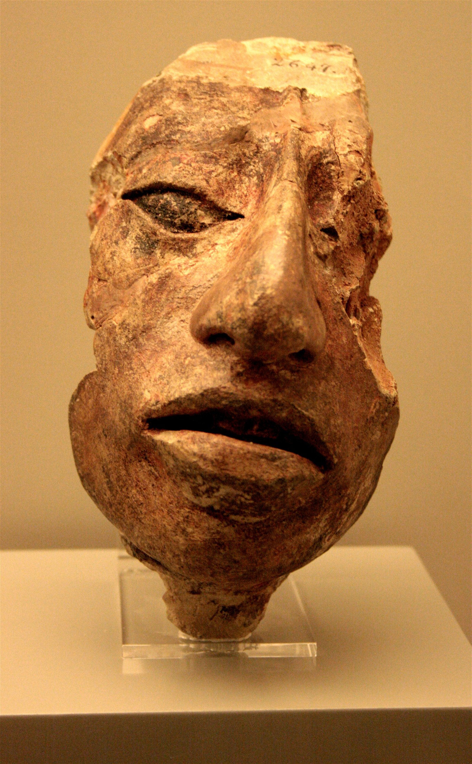 Museum of the Americas