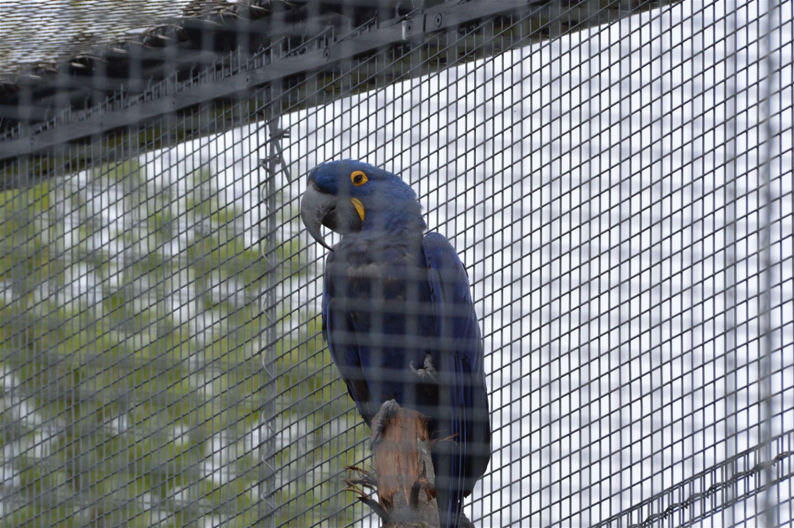 Parc zoologique de Paris