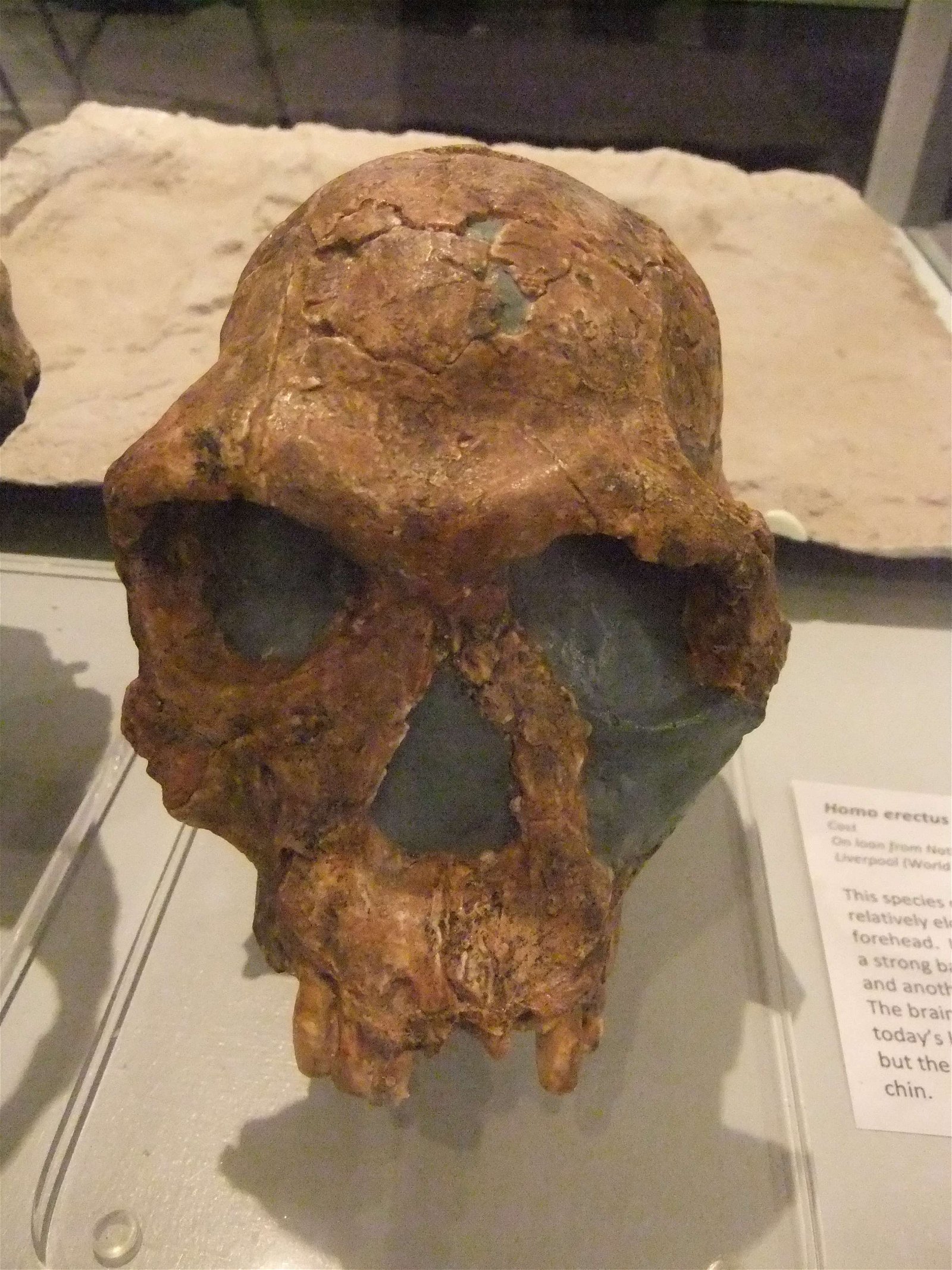 Wrexham County Borough Museum and Archives