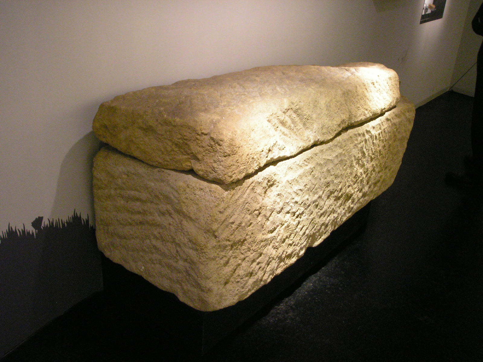 Roman Museum at the Hoher Markt