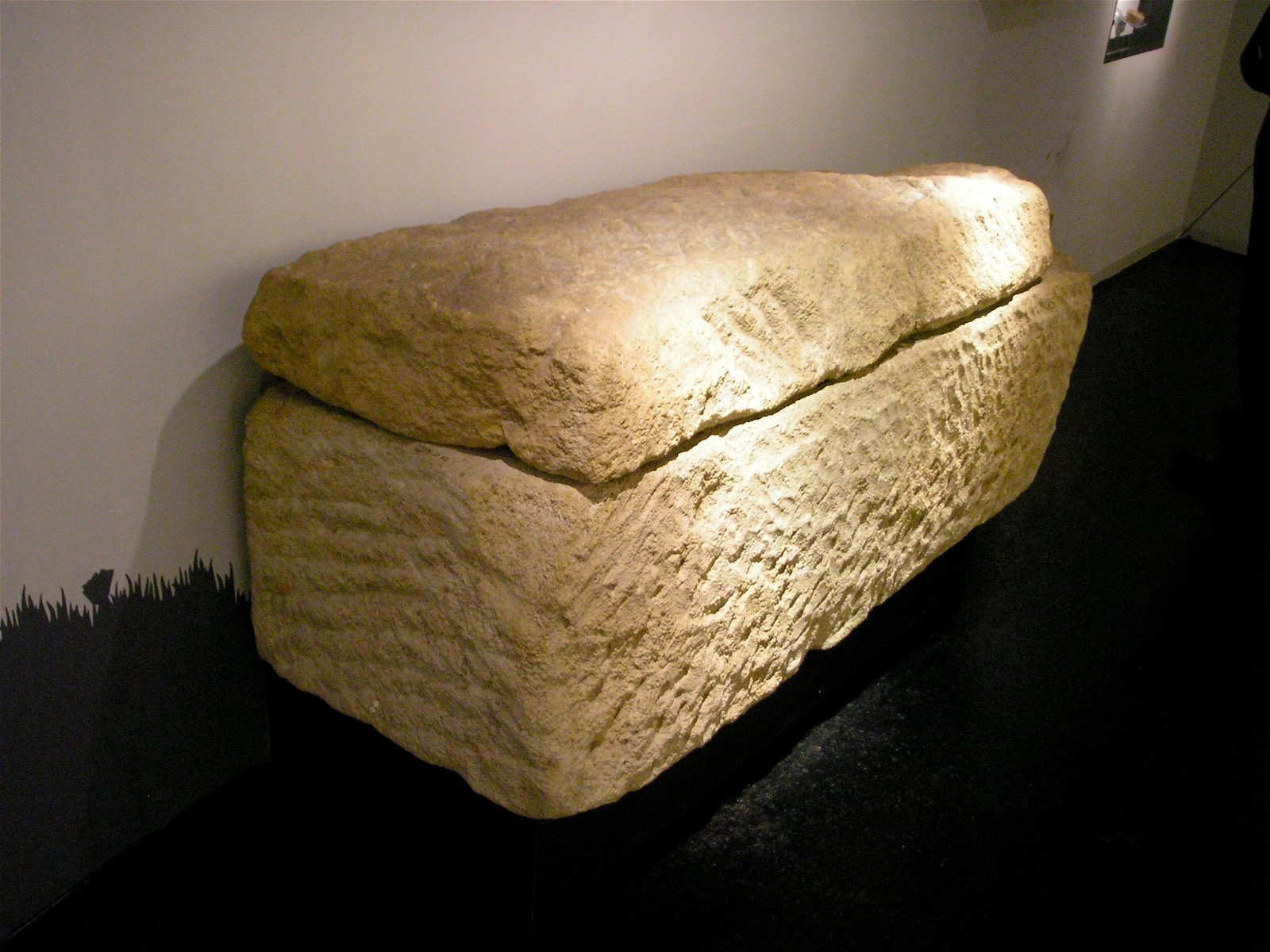 Roman Museum at the Hoher Markt