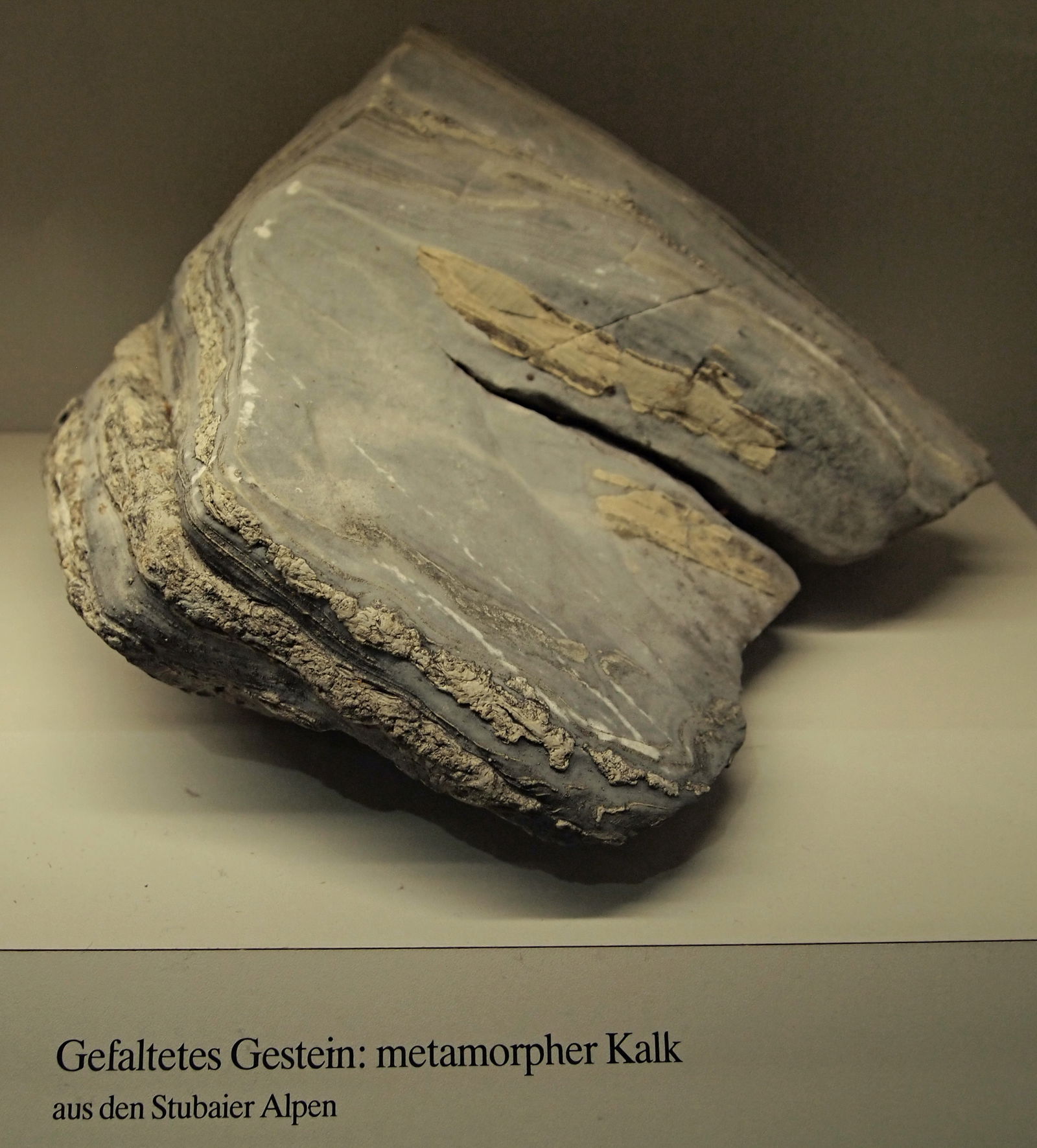 Museum Mensch und Natur