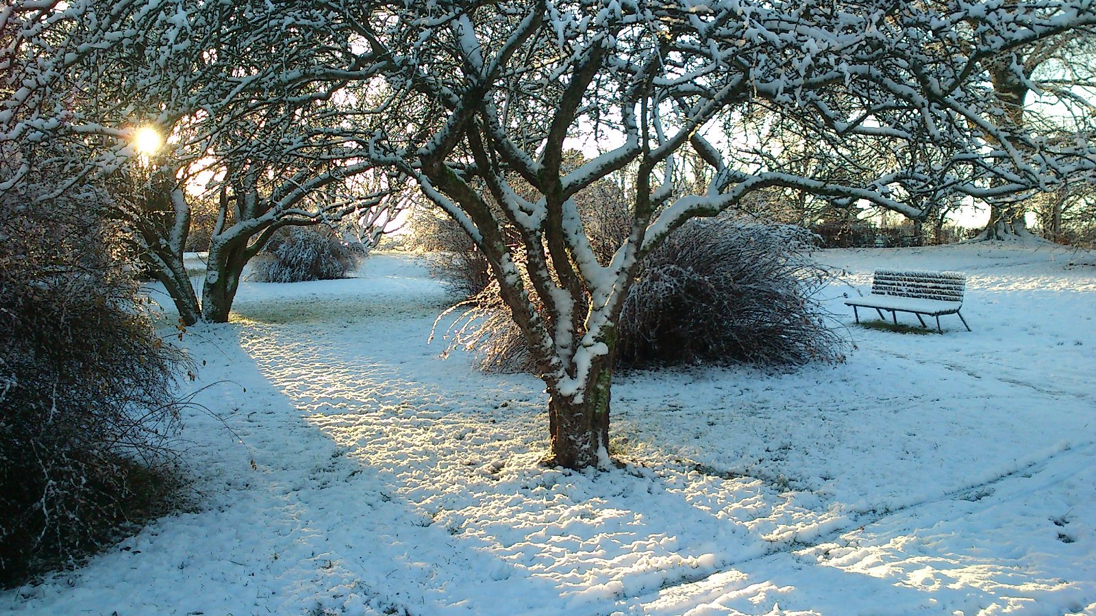 Aarhus Botanical Gardens