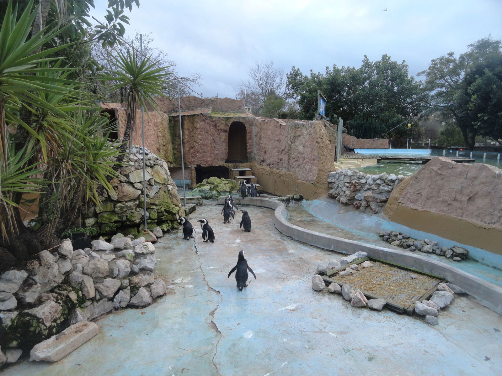Lisbon Zoo