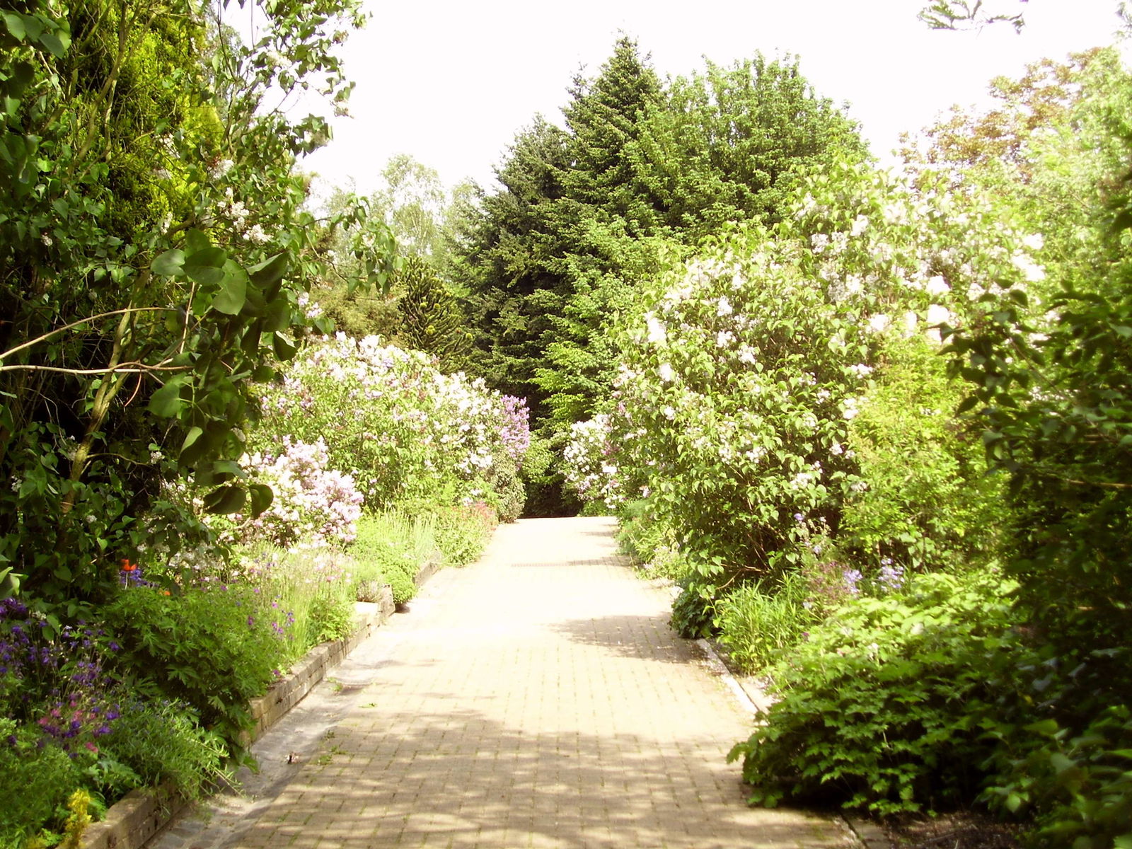 Jardin Botanique Jean Massart