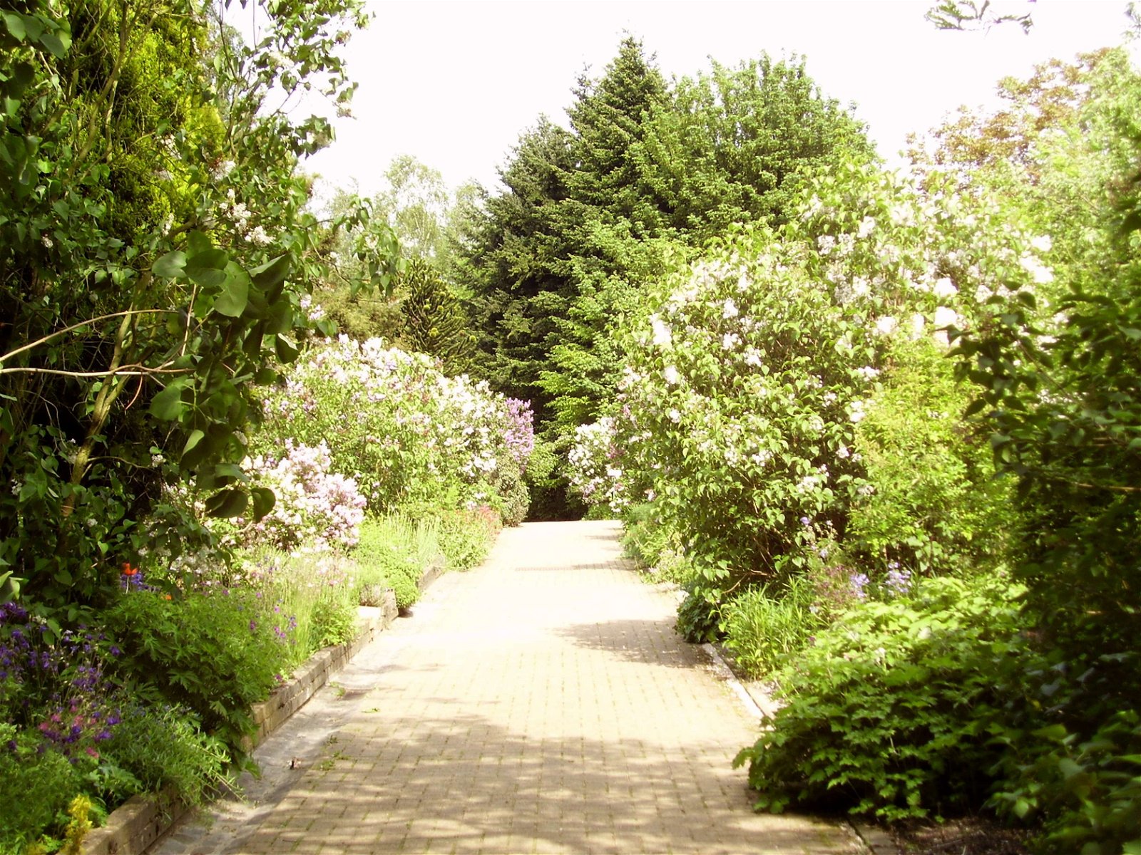 Jean Massart Botanical Garden