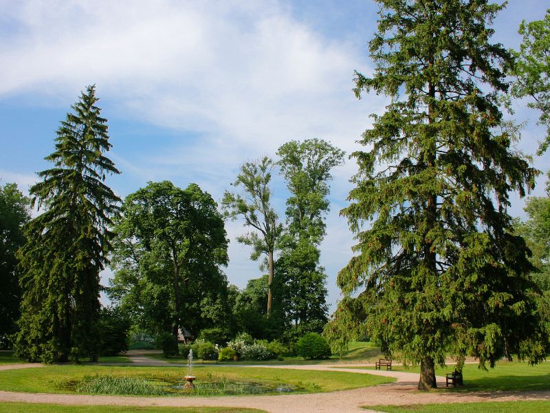Vilnius University Botanical Garden