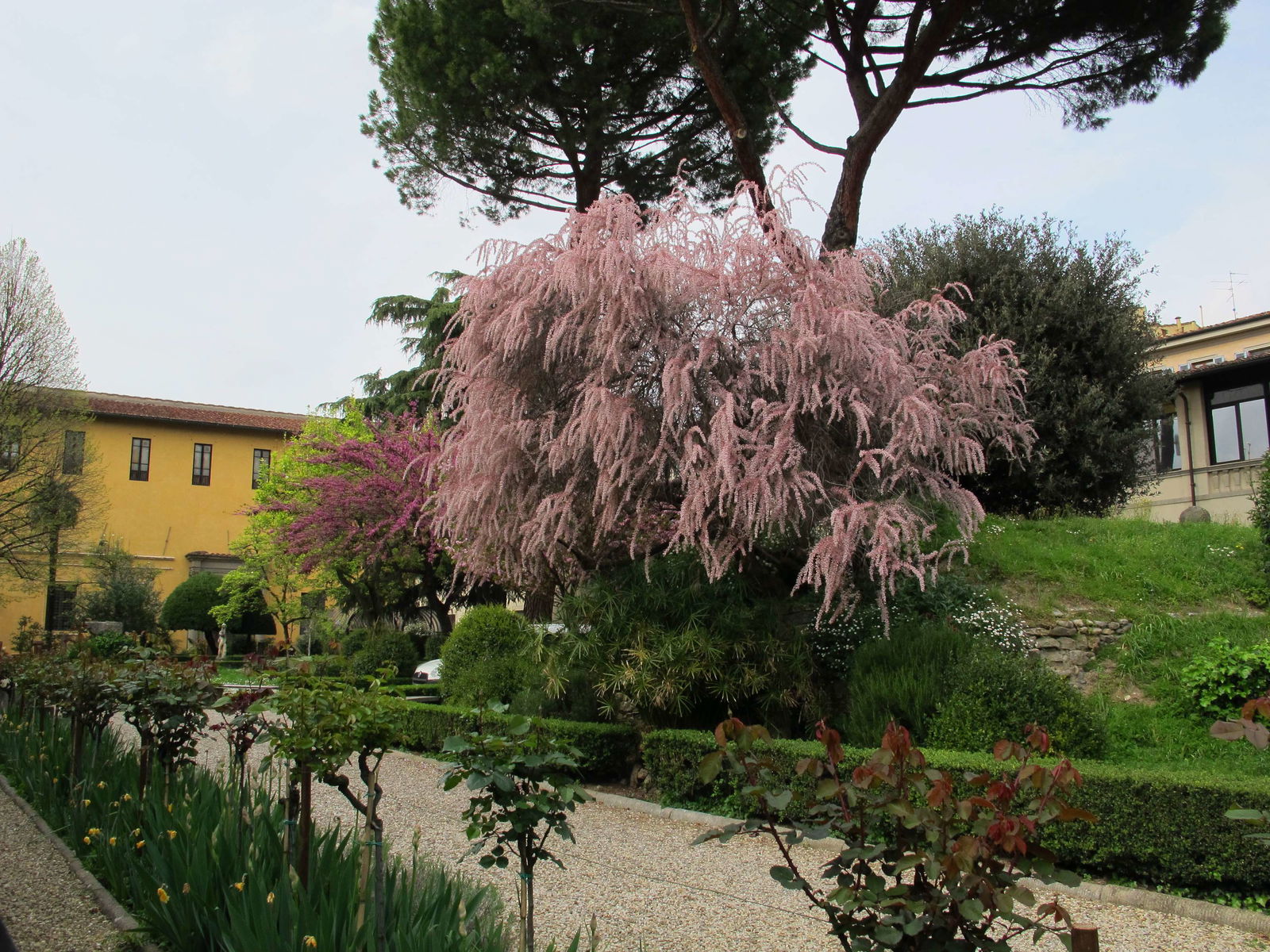Museo Archeologico Nazionale