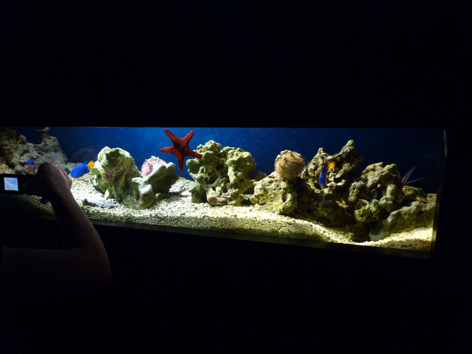 Aquaria Water Museum