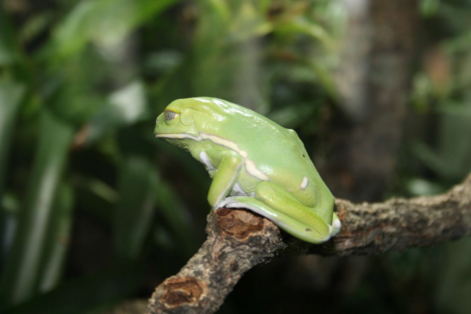 Berlin Zoological Garden