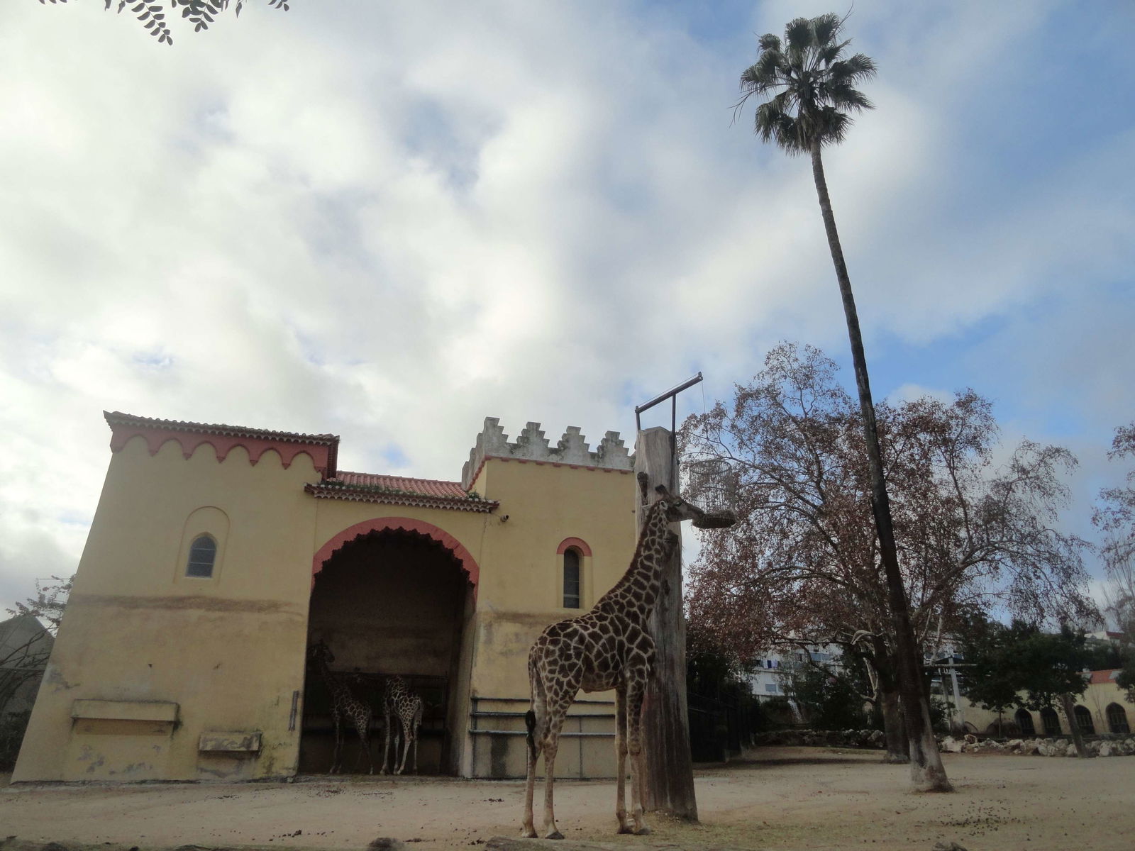 Lisbon Zoo