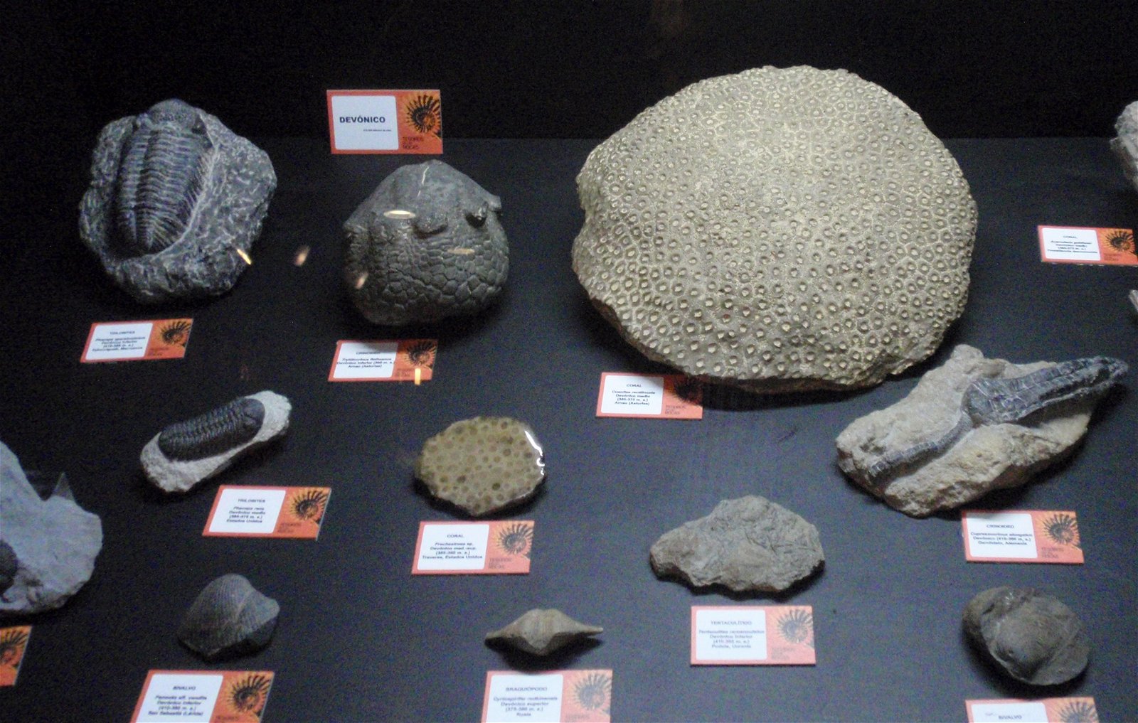 Museo Elder de la Ciencia y la Tecnología