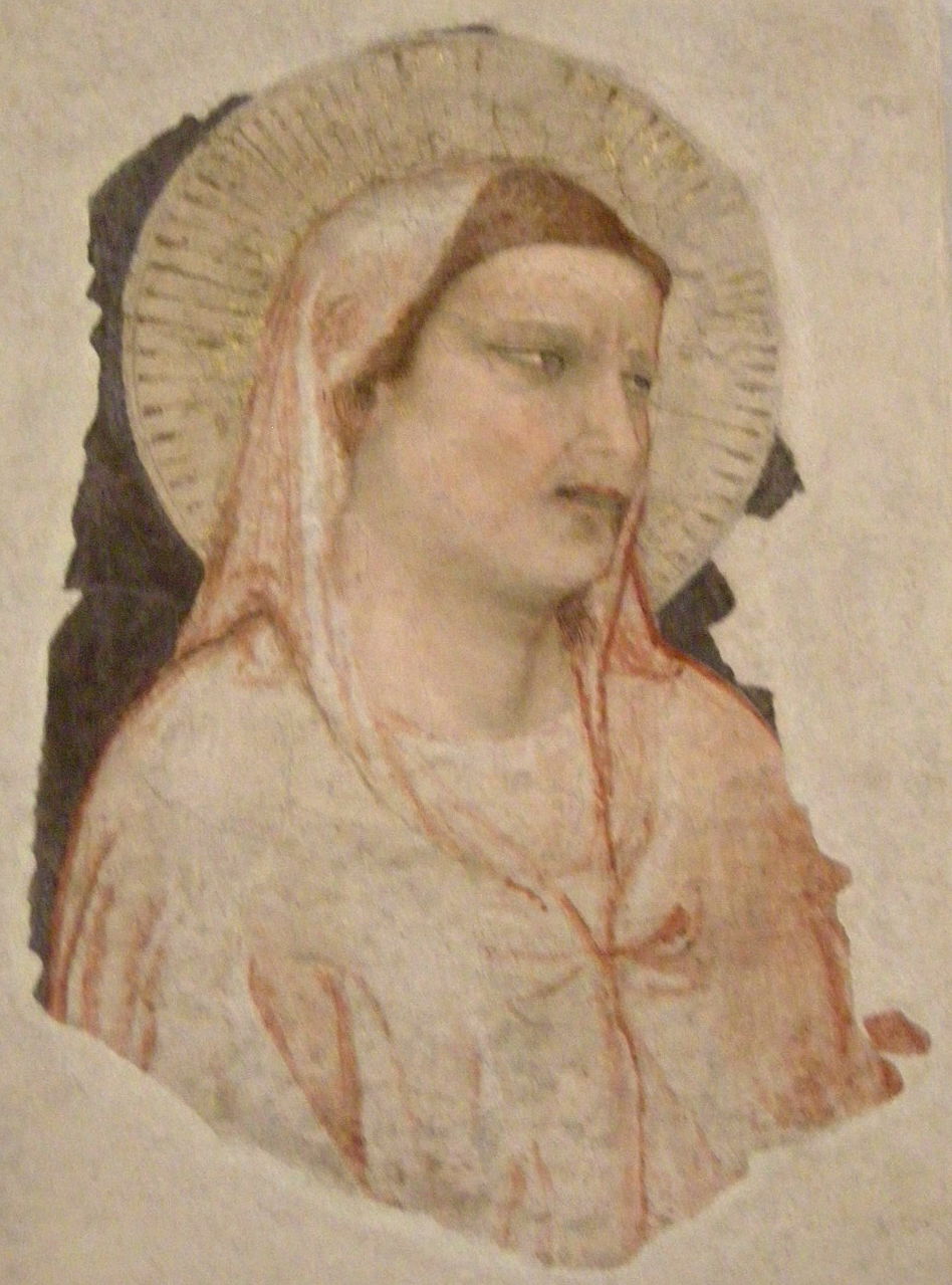 Museo dell'Opera di Santa Croce