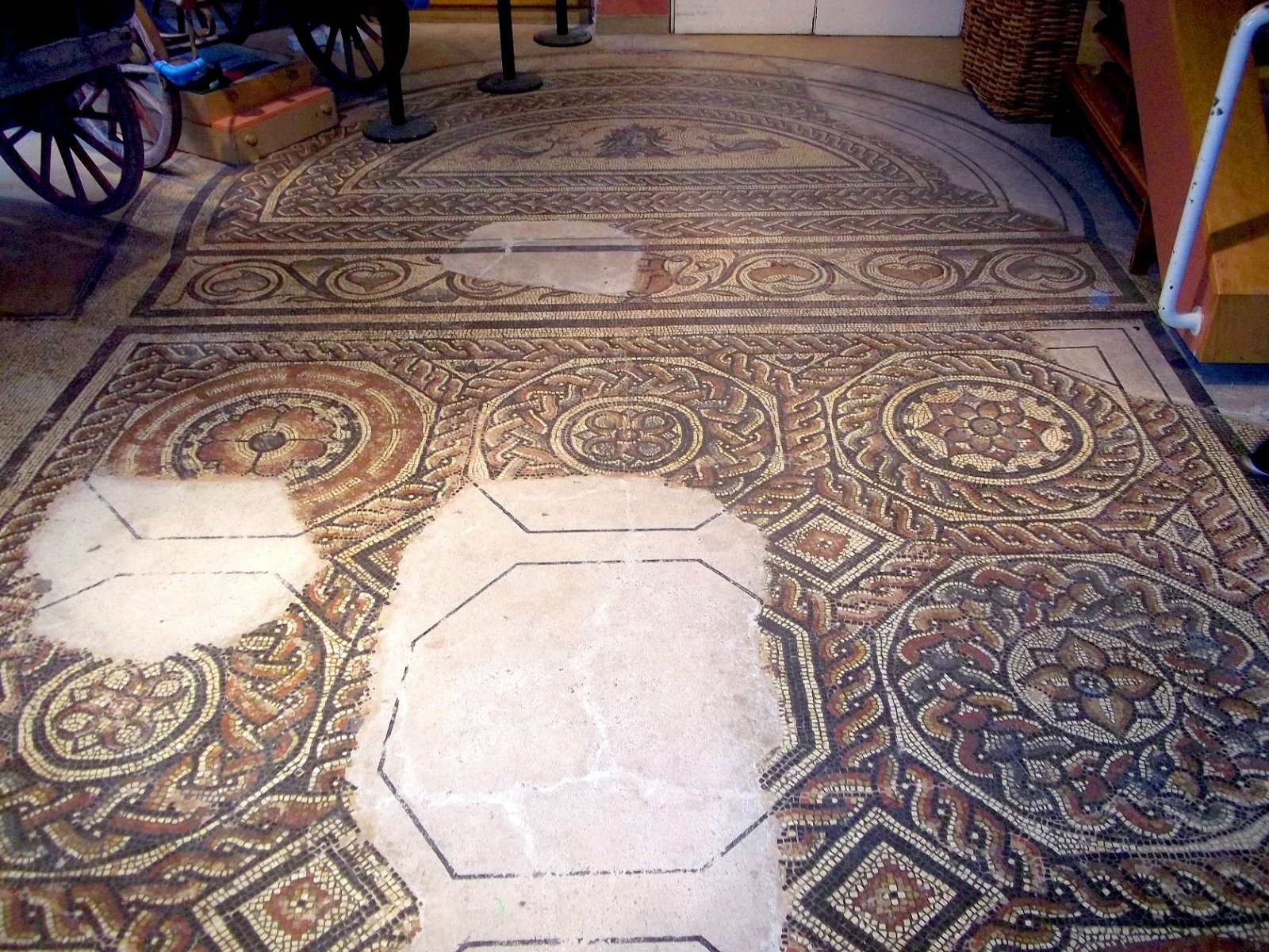 Dorset County Museum