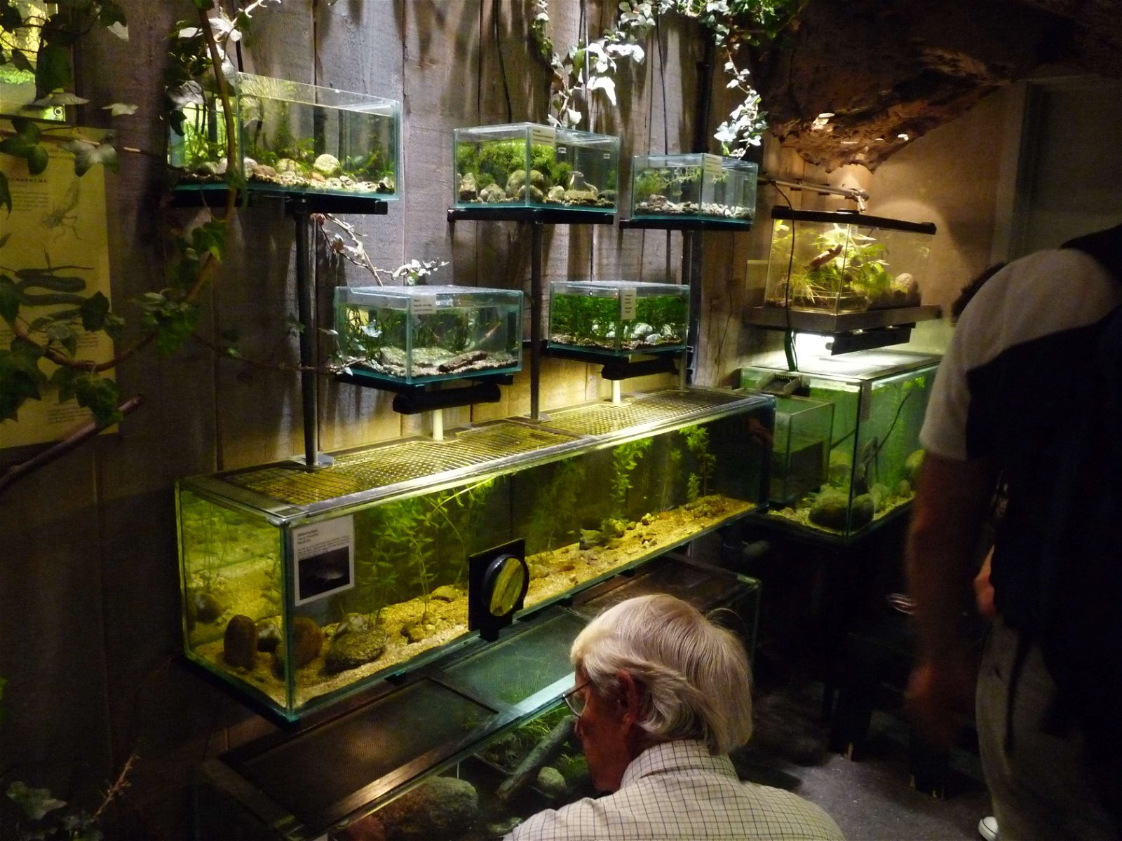 Aquaria Water Museum