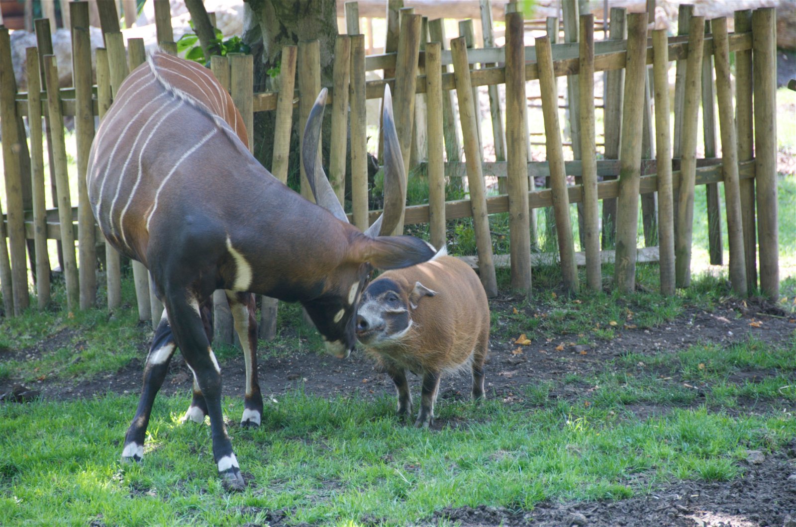 Edinburgh Zoo (Edinburgh) Visitor Information & Reviews