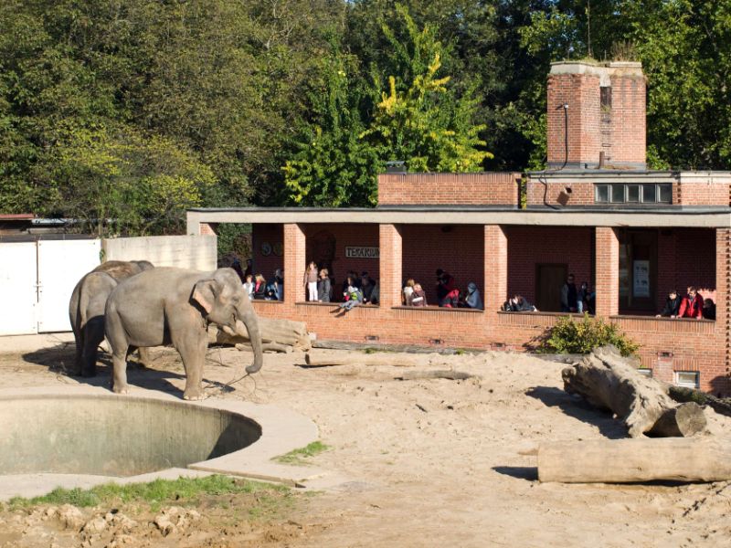Prague Zoo