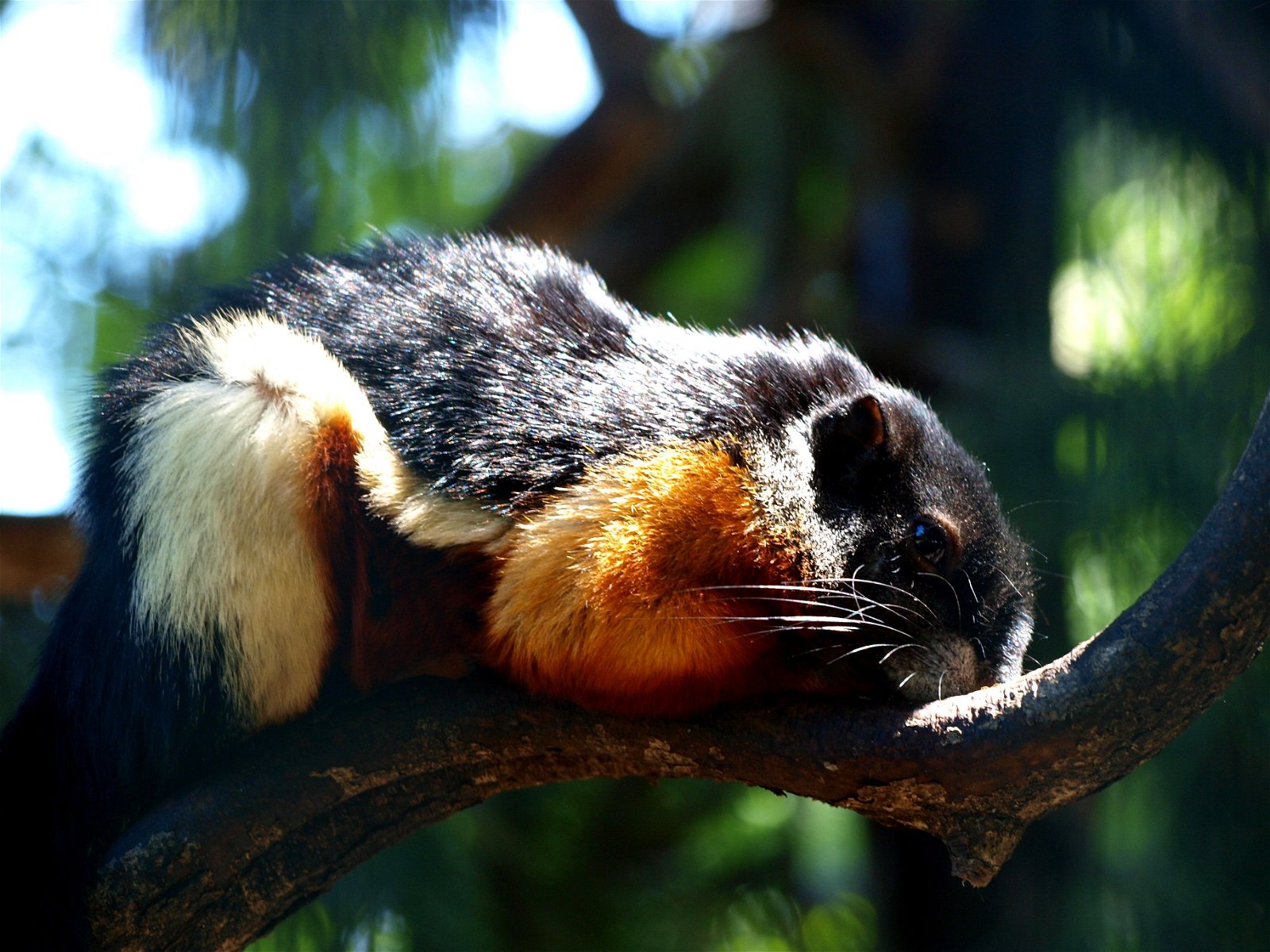 Wroclaw Zoo & Africarium