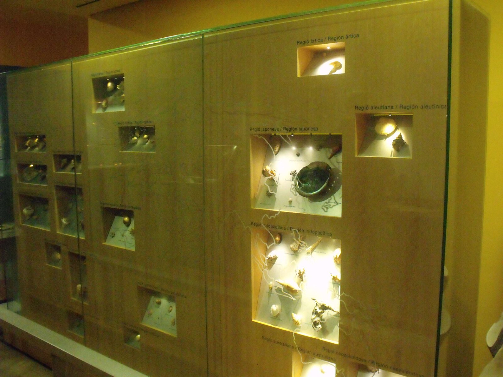 Museum of Natural Science