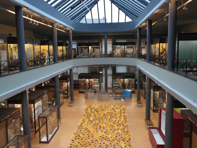 Muséum régional des Sciences Naturelles de Mons