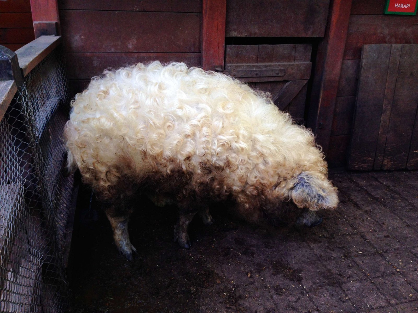 Budapest Zoo and Botanical Garden