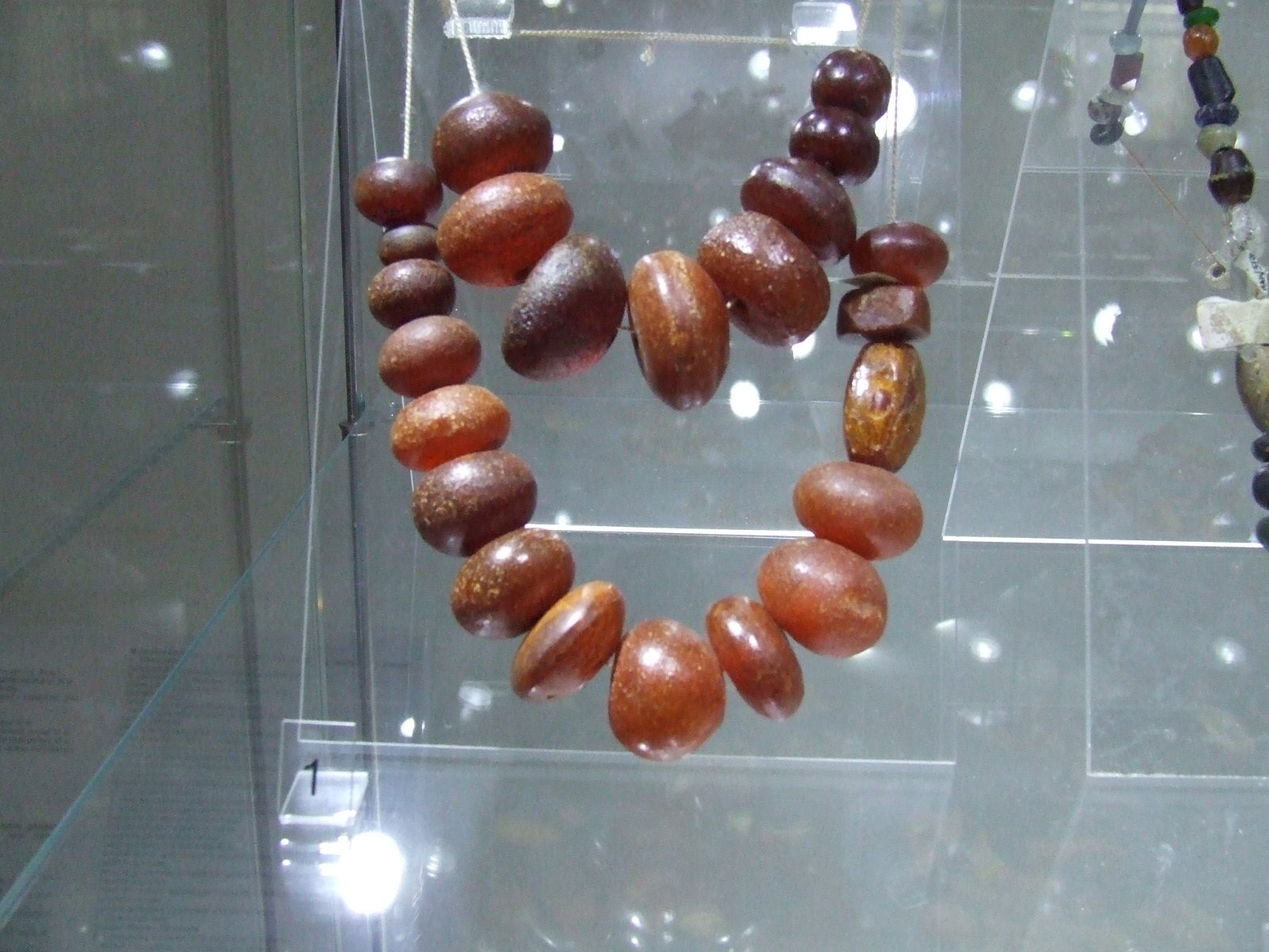 Amber Museum