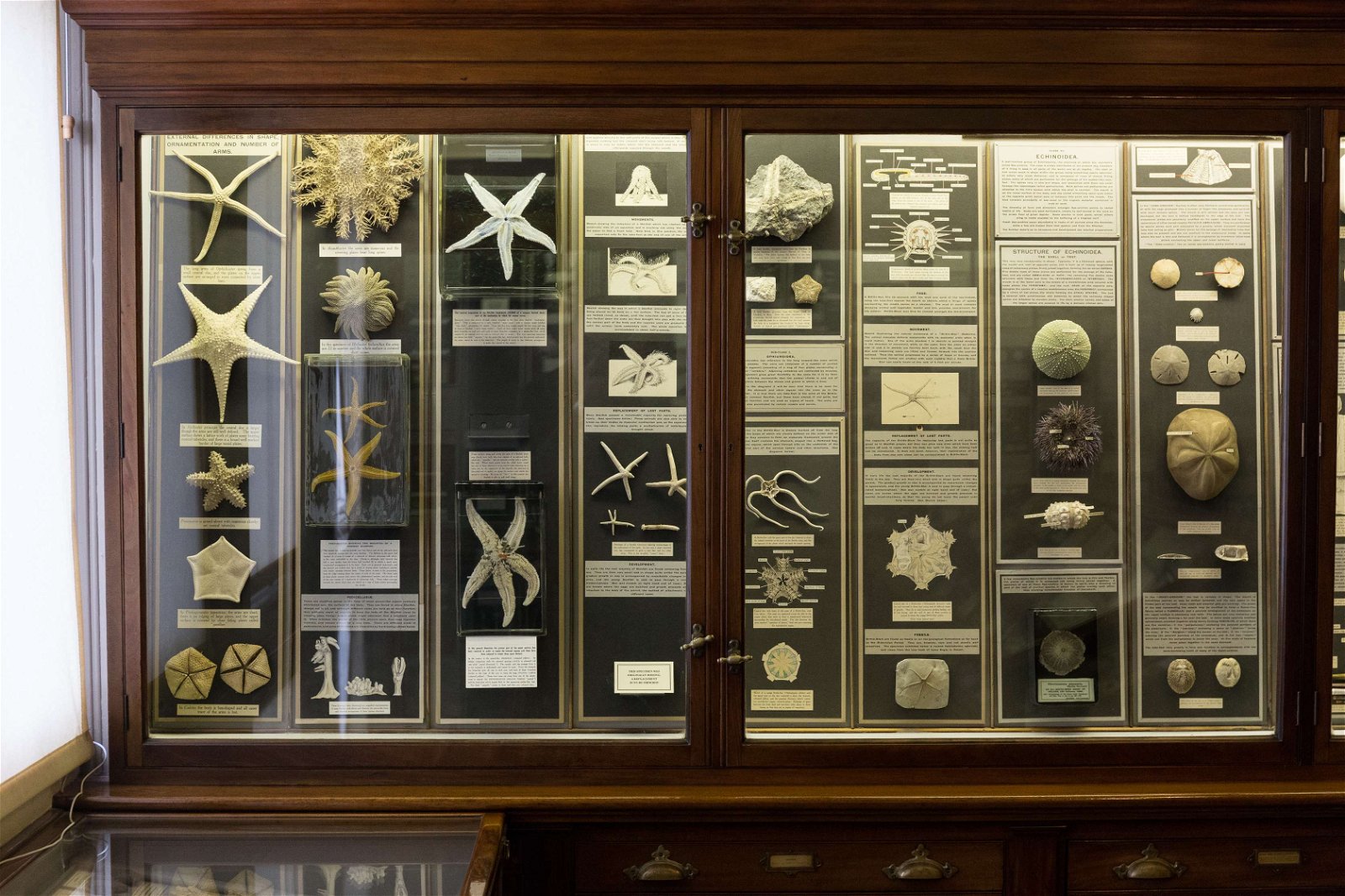 Royal Albert Memorial Museum and Art Gallery