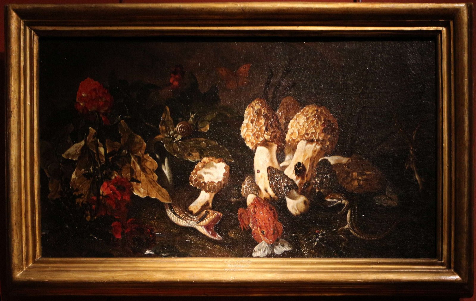 Gallerie di Palazzo Zevallos Stigliano