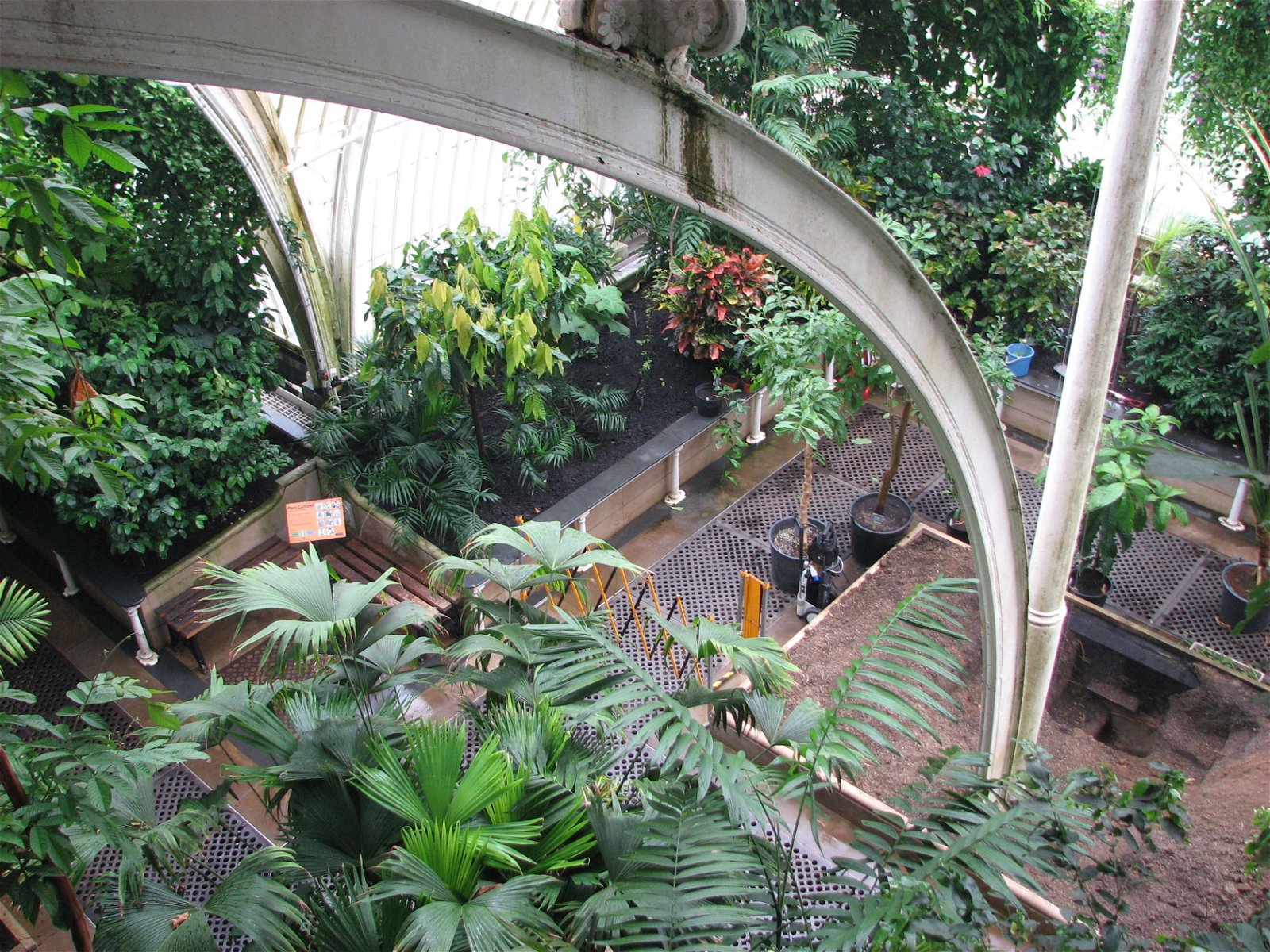 Royal Botanic Gardens, Kew