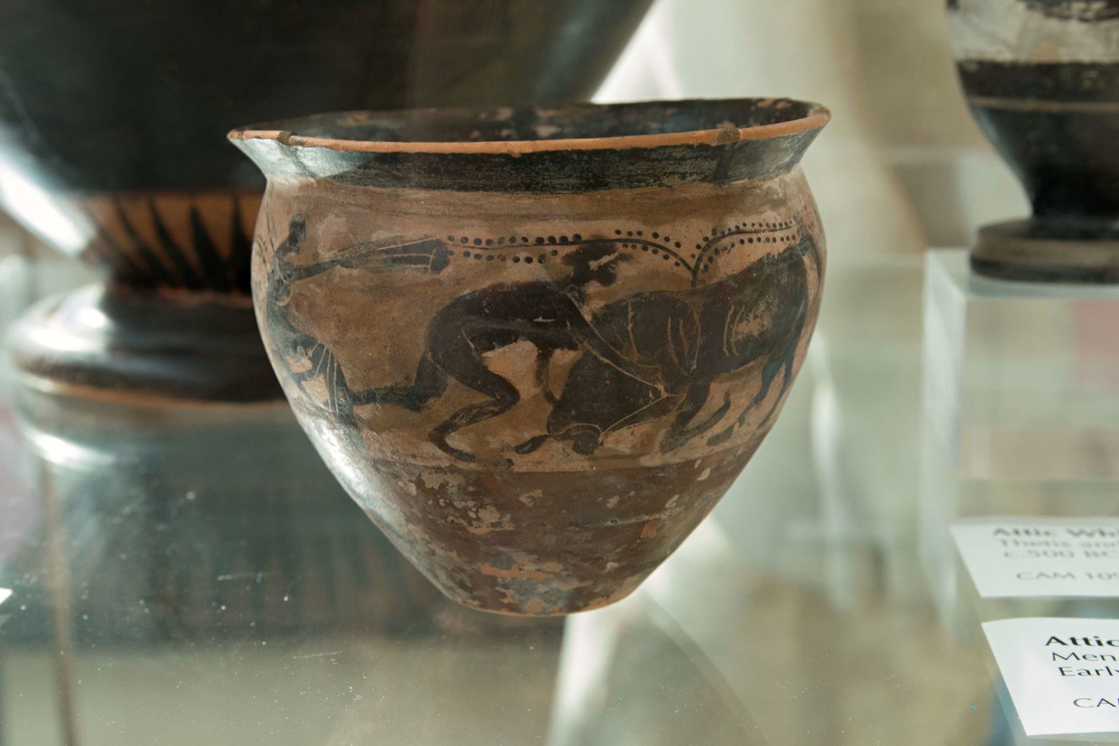 Museum of Classical Archaeology