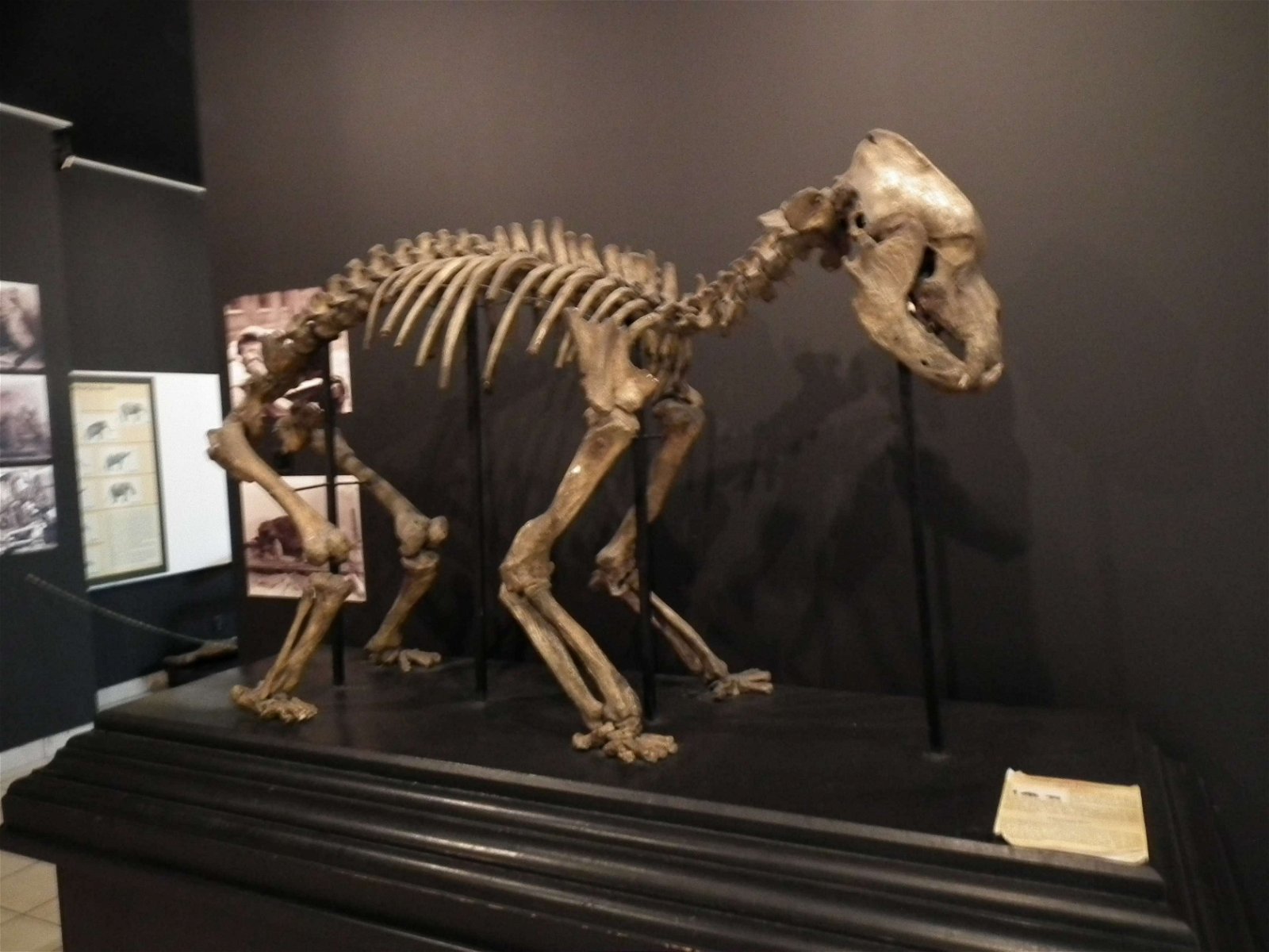 Aquarium and Museum of Natural History in Krakow