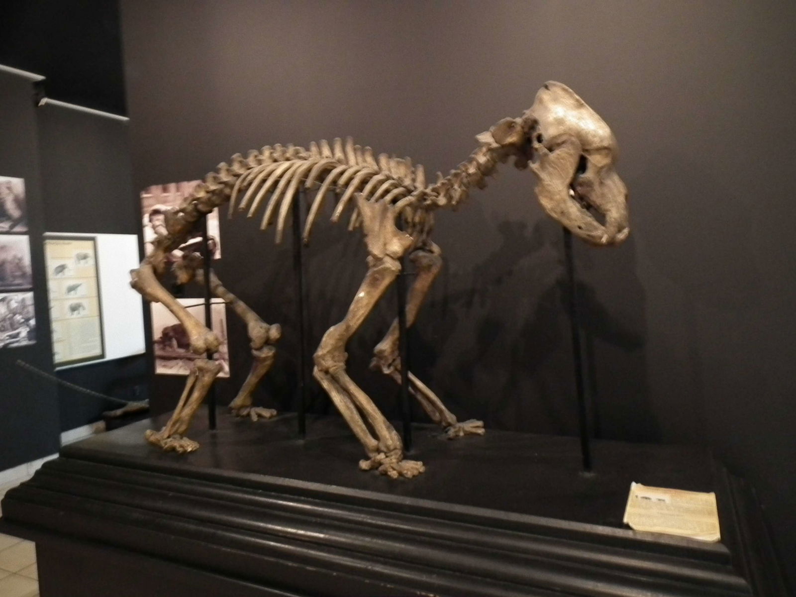 Aquarium and Museum of Natural History in Krakow