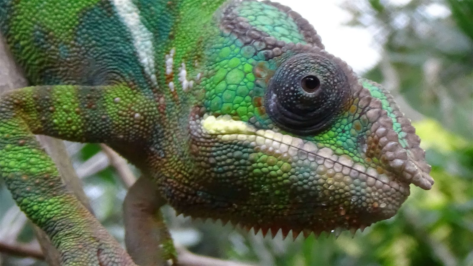 Parc zoologique de Paris