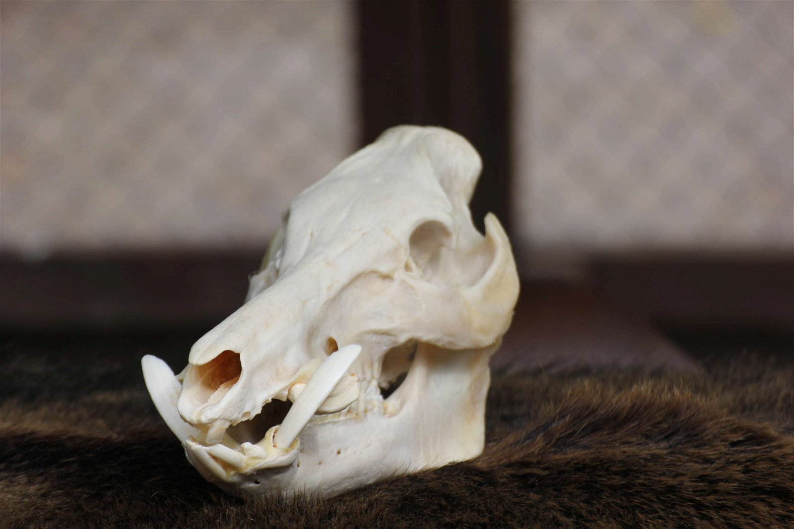 Wildpark im Grafenberger Wald