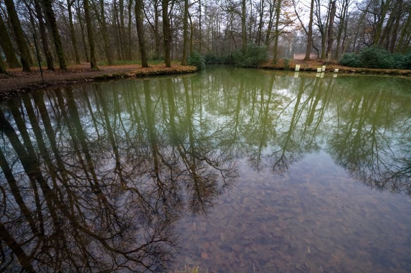 Middelheim Open Air Sculpture Museum