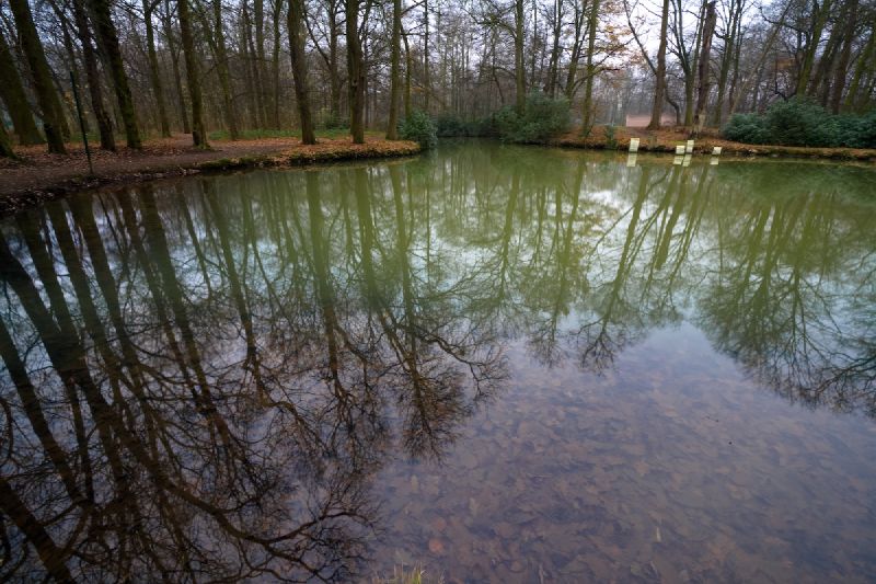 Middelheim Open Air Sculpture Museum