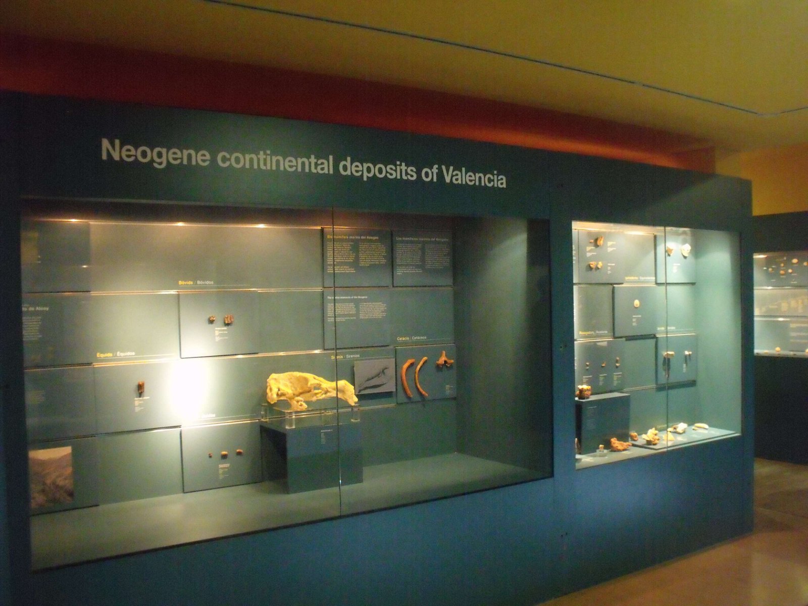 Museum of Natural Science